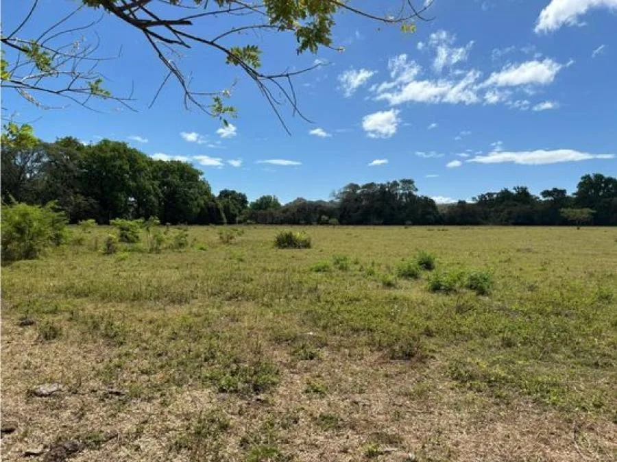Lote en Venta en Guanacaste, Sardinal de Carrillo 5PDN9535816 - Venta en Carrillo, photo 5
