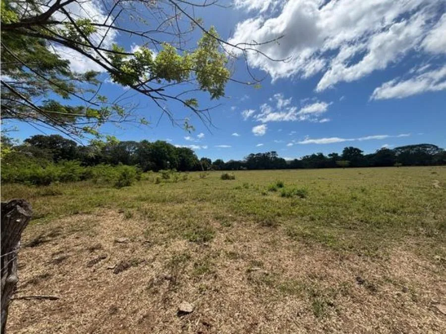 Lote en Venta en Guanacaste, Sardinal de Carrillo 5PDN9535816 - Venta en Carrillo, photo 6