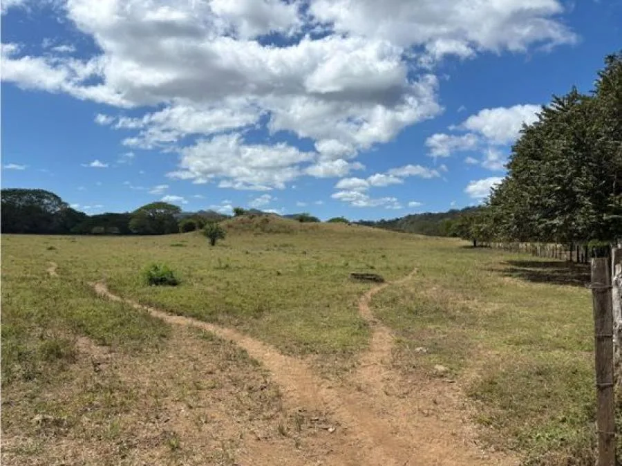 Lote en Venta en Guanacaste, Sardinal de Carrillo 5PDN9535816 - Venta en Carrillo, photo 7