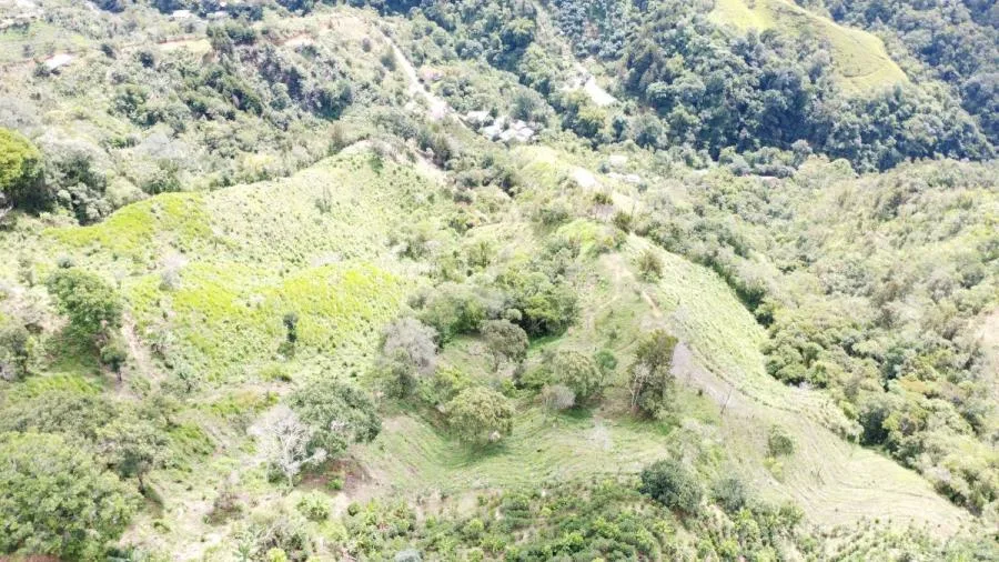 SE VENDE LOTE CON GRAN PRIVACIDAD, EN RIVAS COSTA RICA, PZ. - Venta en Perez Zeledón, photo 11