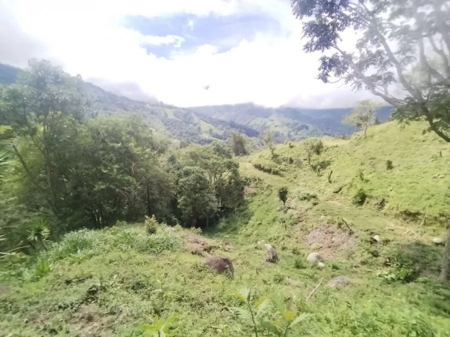 SE VENDE LOTE CON GRAN PRIVACIDAD, EN RIVAS COSTA RICA, PZ. - Venta en Perez Zeledón, photo 12