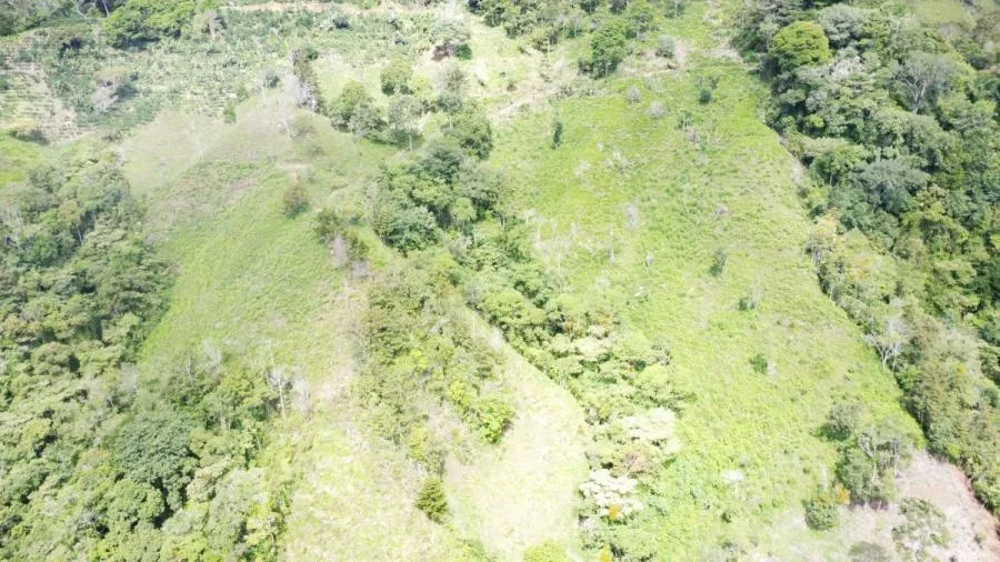SE VENDE LOTE CON GRAN PRIVACIDAD, EN RIVAS COSTA RICA, PZ. - Venta en Perez Zeledón, photo 13