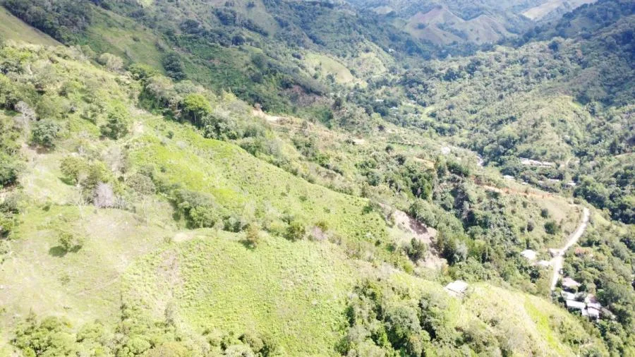 SE VENDE LOTE CON GRAN PRIVACIDAD, EN RIVAS COSTA RICA, PZ. - Venta en Perez Zeledón, photo 15