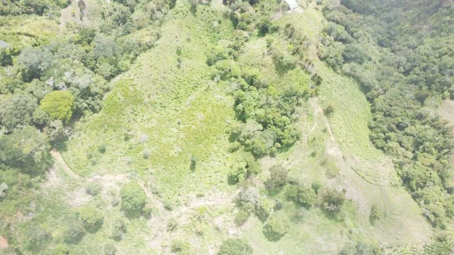 SE VENDE LOTE CON GRAN PRIVACIDAD, EN RIVAS COSTA RICA, PZ. - Venta en Perez Zeledón, photo 6