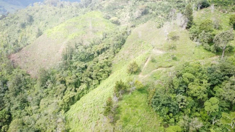 SE VENDE LOTE CON GRAN PRIVACIDAD, EN RIVAS COSTA RICA, PZ. - Venta en Perez Zeledón, photo 8