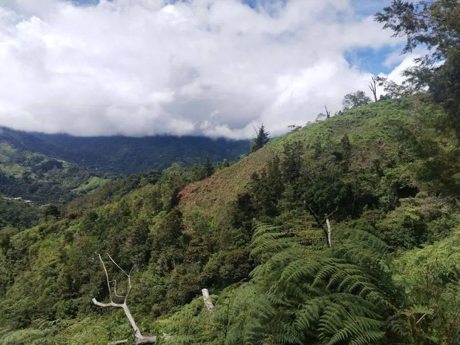 SE VENDE LOTE CON GRAN PRIVACIDAD, EN RIVAS COSTA RICA, PZ. - Venta en Perez Zeledón, photo 9