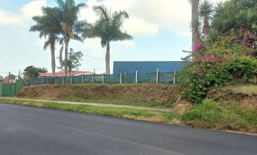 Venta de lote de 36.141 m2 en Mata de Plátano Goicoechea Precio 55 $ / m2 MGA  - Venta en Goicoechea, photo 5