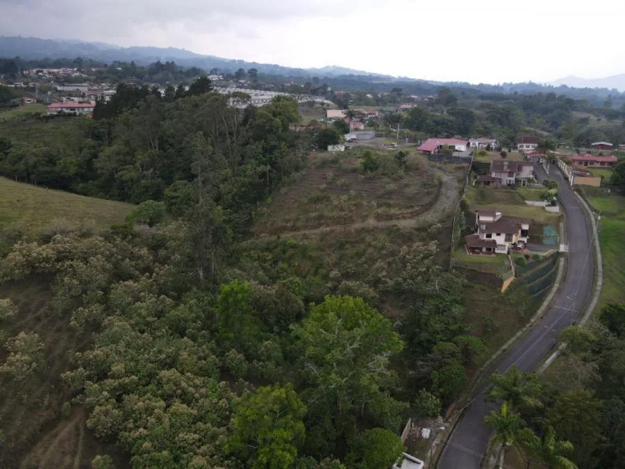 Venta de lote de 36.141 m2 en Mata de Plátano Goicoechea Precio 55 $ / m2 MGA  - Venta en Goicoechea, photo 6