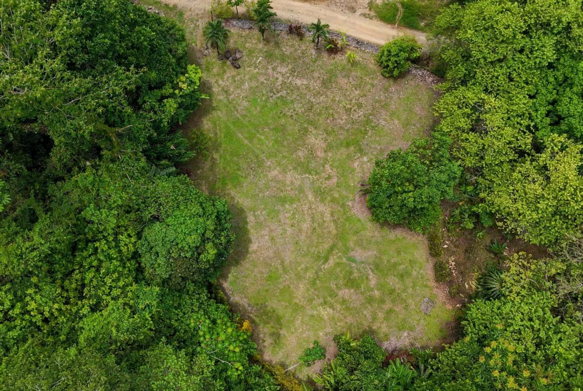 BUILDING FOREST PROPERTY NEAR THE RIVER, IN TRES RÍOS – 1.8 ACRES, photo 2