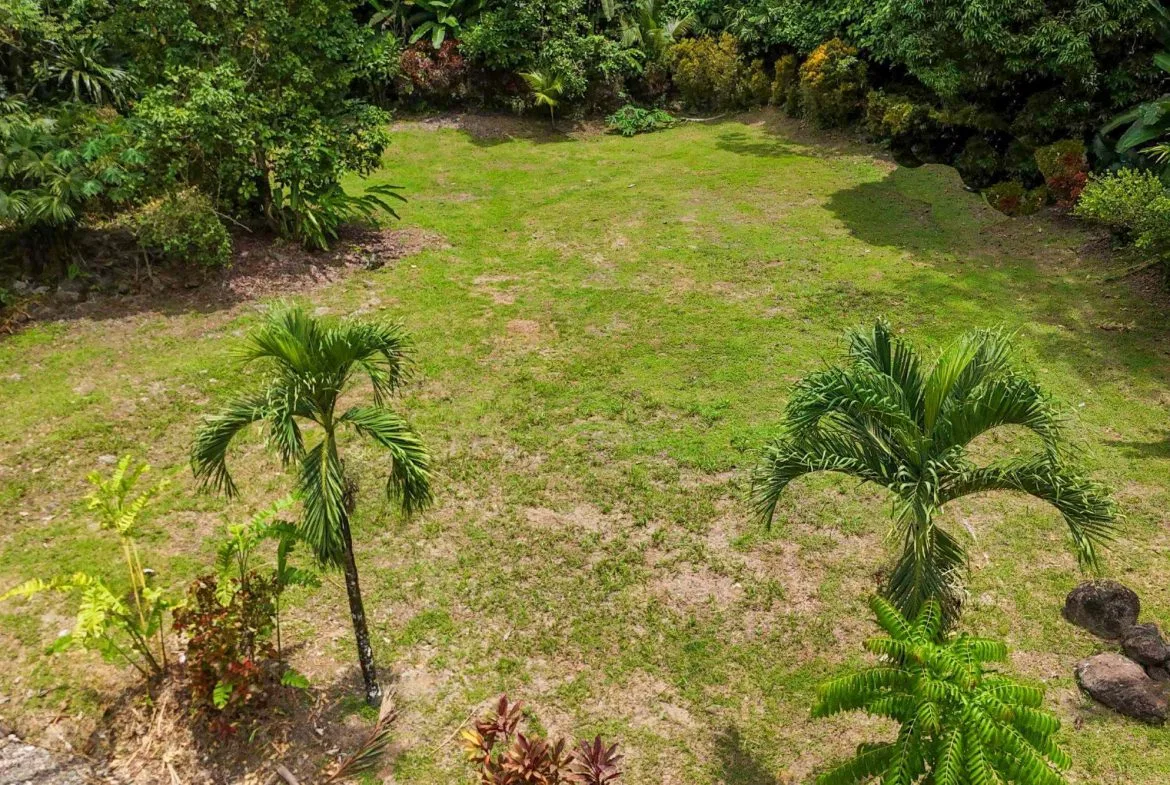BUILDING FOREST PROPERTY NEAR THE RIVER, IN TRES RÍOS – 1.8 ACRES, photo 14
