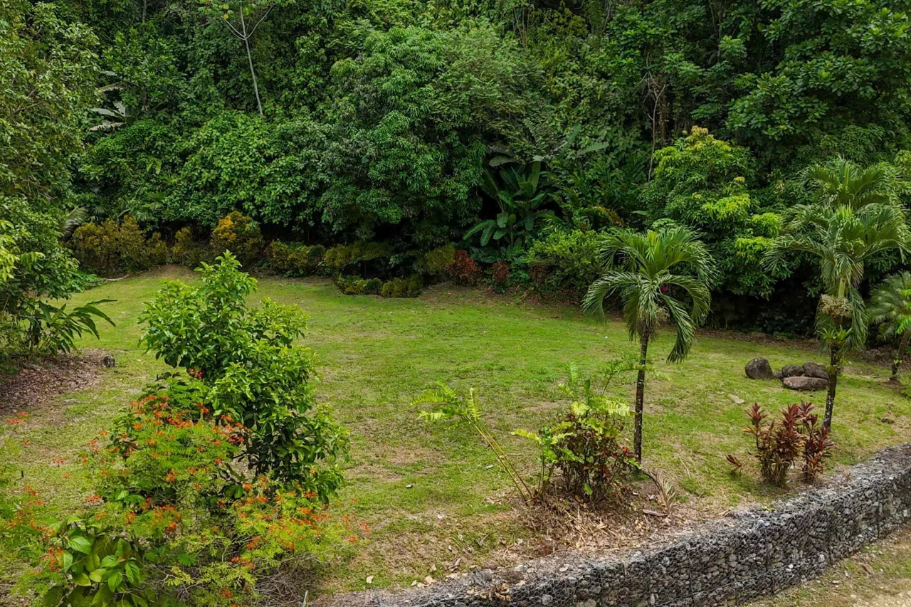 BUILDING FOREST PROPERTY NEAR THE RIVER, IN TRES RÍOS – 1.8 ACRES, photo 15