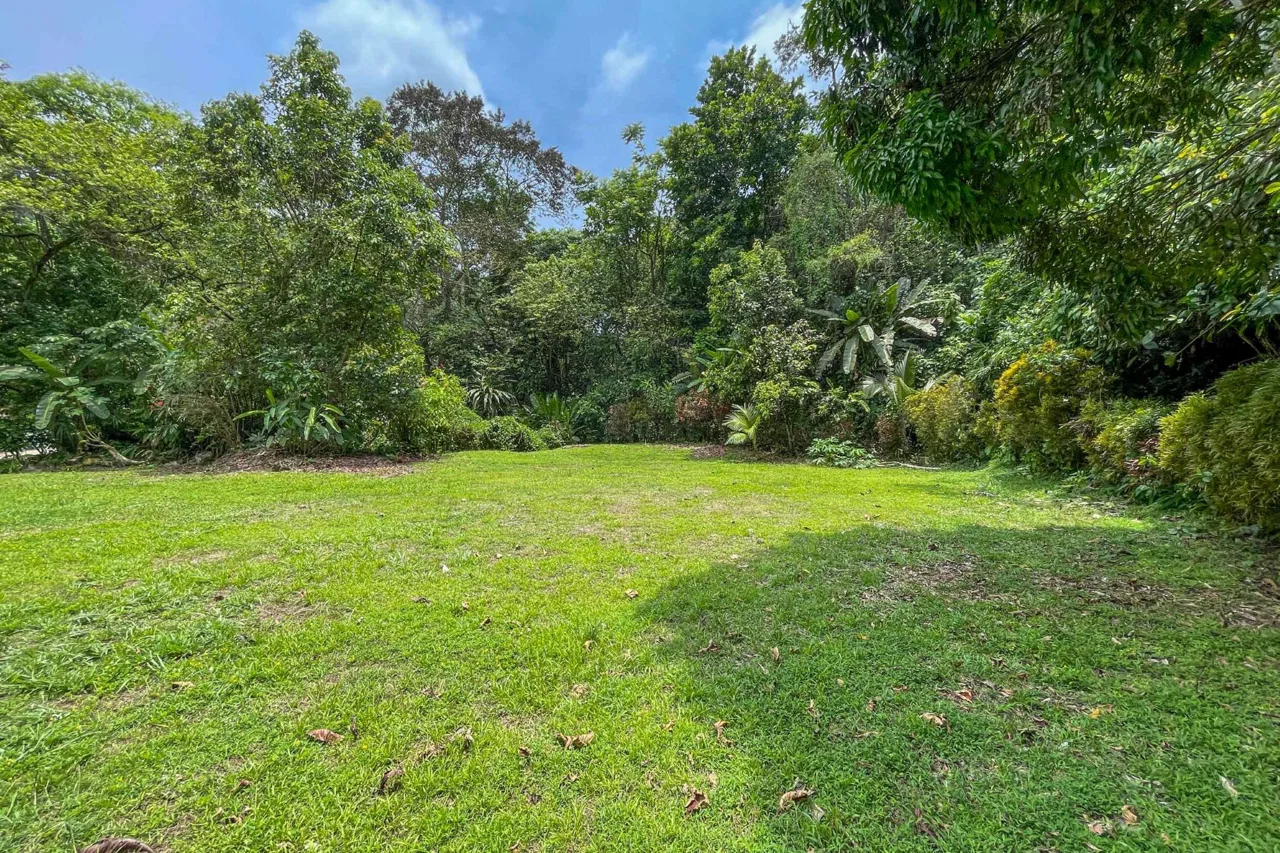 BUILDING FOREST PROPERTY NEAR THE RIVER, IN TRES RÍOS – 1.8 ACRES, photo 17