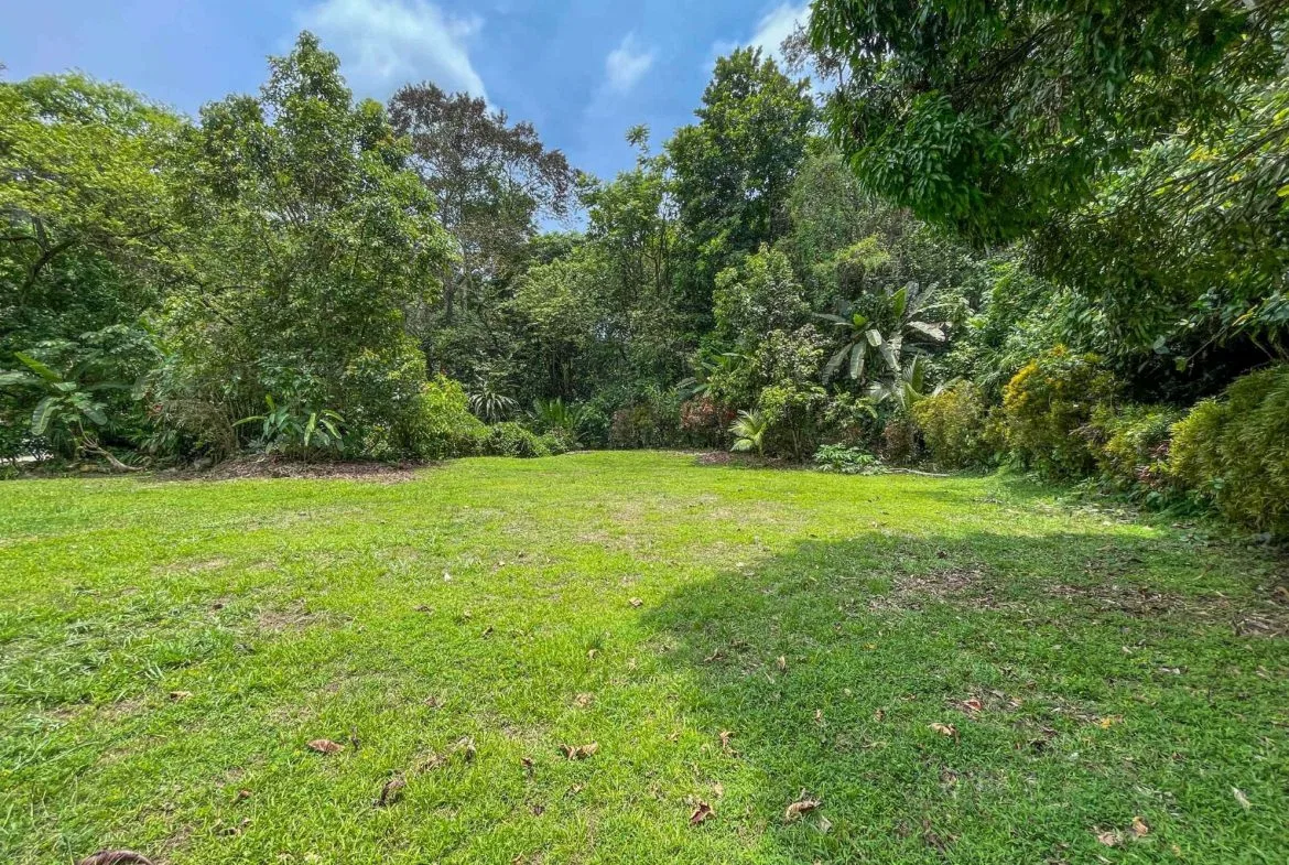 BUILDING FOREST PROPERTY NEAR THE RIVER, IN TRES RÍOS – 1.8 ACRES, photo 18