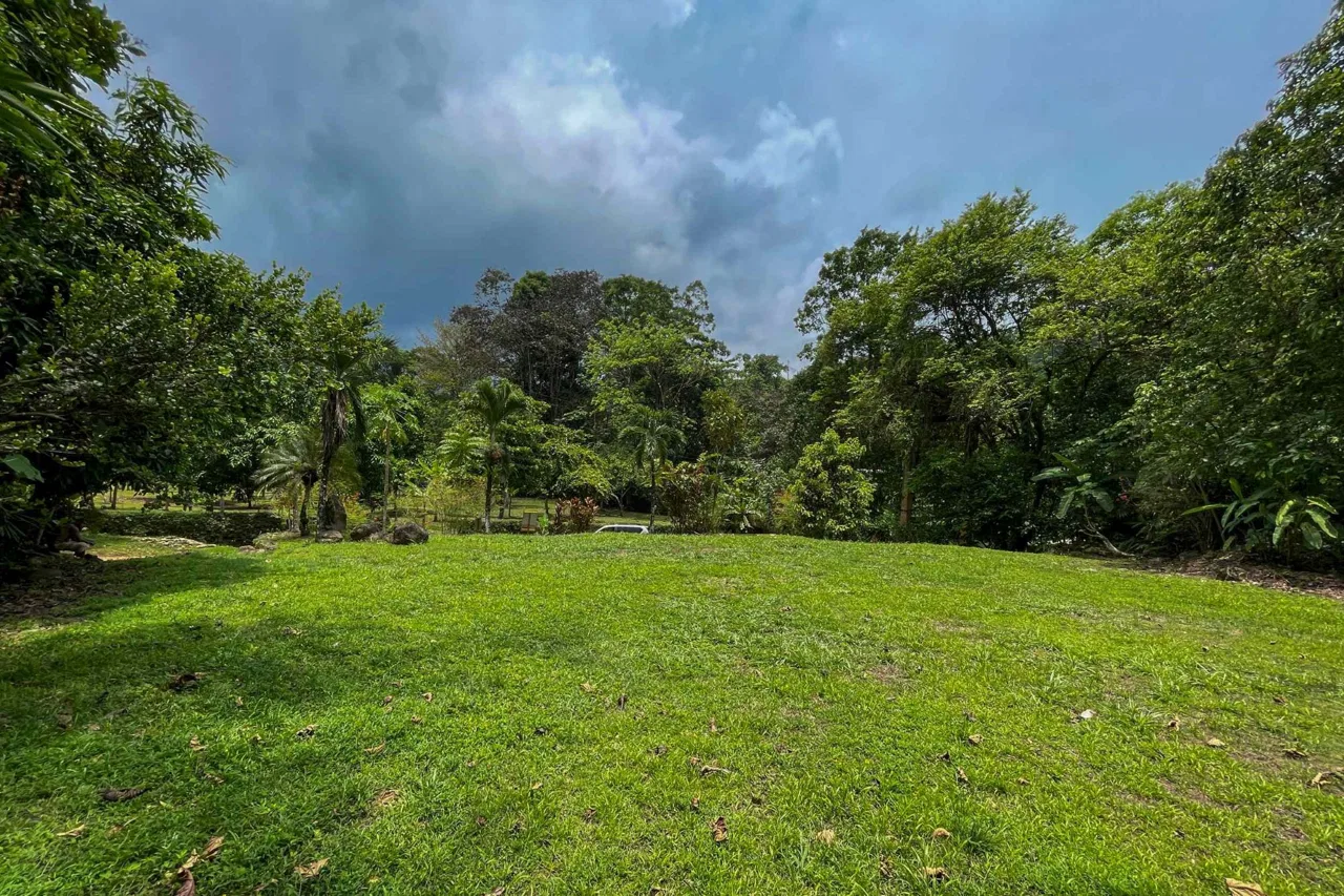 BUILDING FOREST PROPERTY NEAR THE RIVER, IN TRES RÍOS – 1.8 ACRES, photo 19