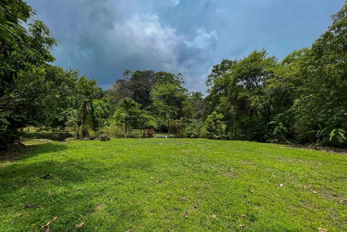 BUILDING FOREST PROPERTY NEAR THE RIVER, IN TRES RÍOS – 1.8 ACRES, photo 20