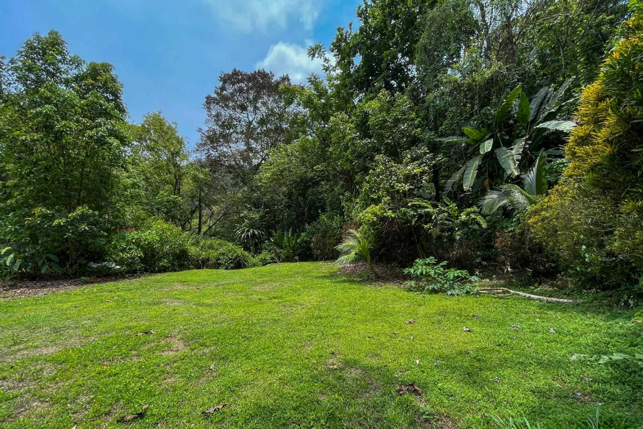 BUILDING FOREST PROPERTY NEAR THE RIVER, IN TRES RÍOS – 1.8 ACRES, photo 21