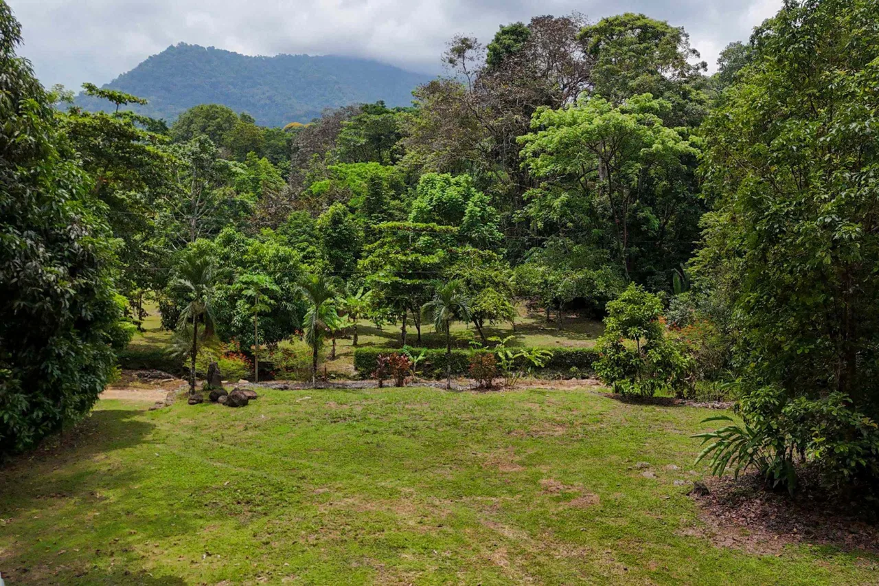 BUILDING FOREST PROPERTY NEAR THE RIVER, IN TRES RÍOS – 1.8 ACRES, photo 23