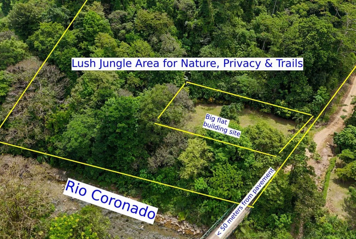 BUILDING FOREST PROPERTY NEAR THE RIVER, IN TRES RÍOS – 1.8 ACRES, photo 4