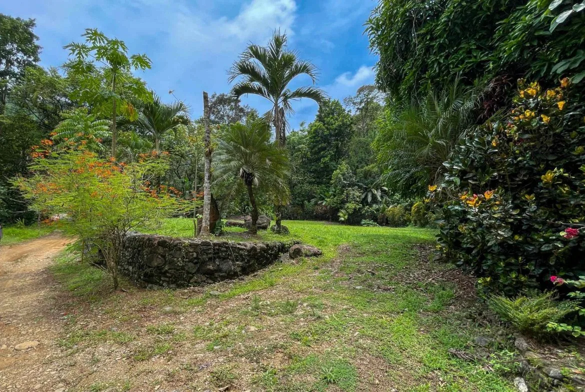 BUILDING FOREST PROPERTY NEAR THE RIVER, IN TRES RÍOS – 1.8 ACRES, photo 8
