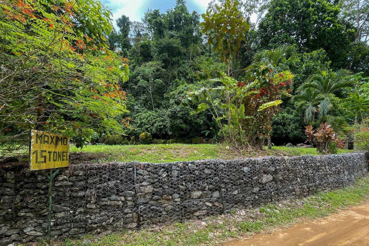 BUILDING FOREST PROPERTY NEAR THE RIVER, IN TRES RÍOS – 1.8 ACRES, photo 9