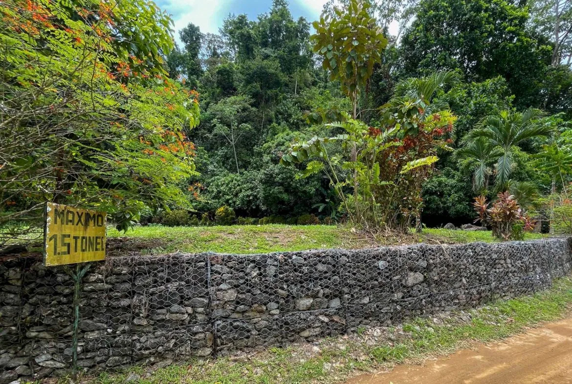 BUILDING FOREST PROPERTY NEAR THE RIVER, IN TRES RÍOS – 1.8 ACRES, photo 10
