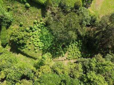 VENTA DE LIQUIDACIÓN - Isla Caño y vistas al océano, con planos de construcción aprobados, photo 2