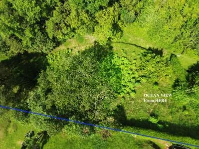 VENTA DE LIQUIDACIÓN - Isla Caño y vistas al océano, con planos de construcción aprobados, photo 4