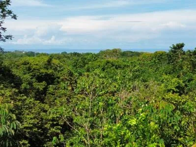 VENTA DE LIQUIDACIÓN - Isla Caño y vistas al océano, con planos de construcción aprobados, photo 6