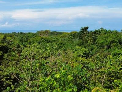 VENTA DE LIQUIDACIÓN - Isla Caño y vistas al océano, con planos de construcción aprobados, photo 8