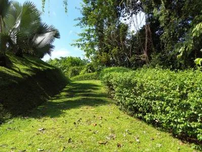 VENTA DE LIQUIDACIÓN - Isla Caño y vistas al océano, con planos de construcción aprobados, photo 9