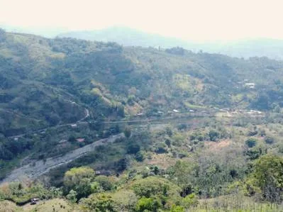 Paraíso Natural en Tirrá de Rivas: Finca de Café con Vistas Impresionantes y Naciente Propia, photo 2