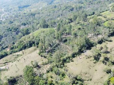 Paraíso Natural en Tirrá de Rivas: Finca de Café con Vistas Impresionantes y Naciente Propia, photo 4