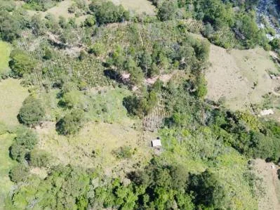 Paraíso Natural en Tirrá de Rivas: Finca de Café con Vistas Impresionantes y Naciente Propia, photo 6