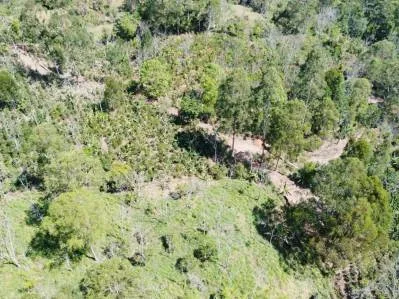 Paraíso Natural en Tirrá de Rivas: Finca de Café con Vistas Impresionantes y Naciente Propia, photo 7