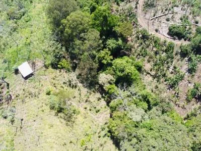 Paraíso Natural en Tirrá de Rivas: Finca de Café con Vistas Impresionantes y Naciente Propia, photo 8