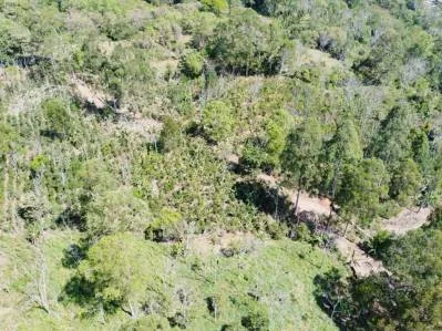 Paraíso Natural en Tirrá de Rivas: Finca de Café con Vistas Impresionantes y Naciente Propia, photo 9