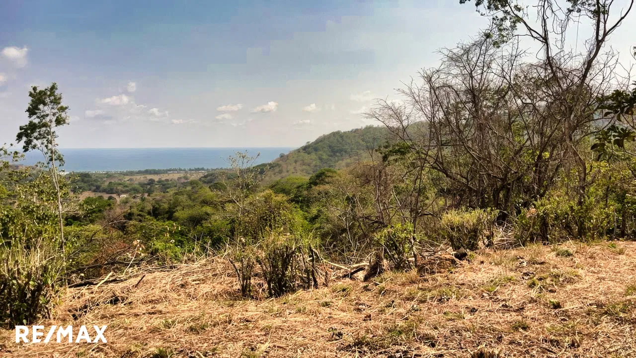Lote Corozalito