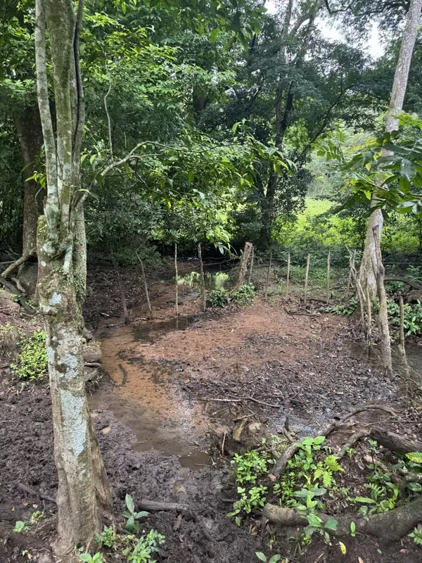 QUINTA CON CASA EN VENTA – TURRUBARES, photo 12