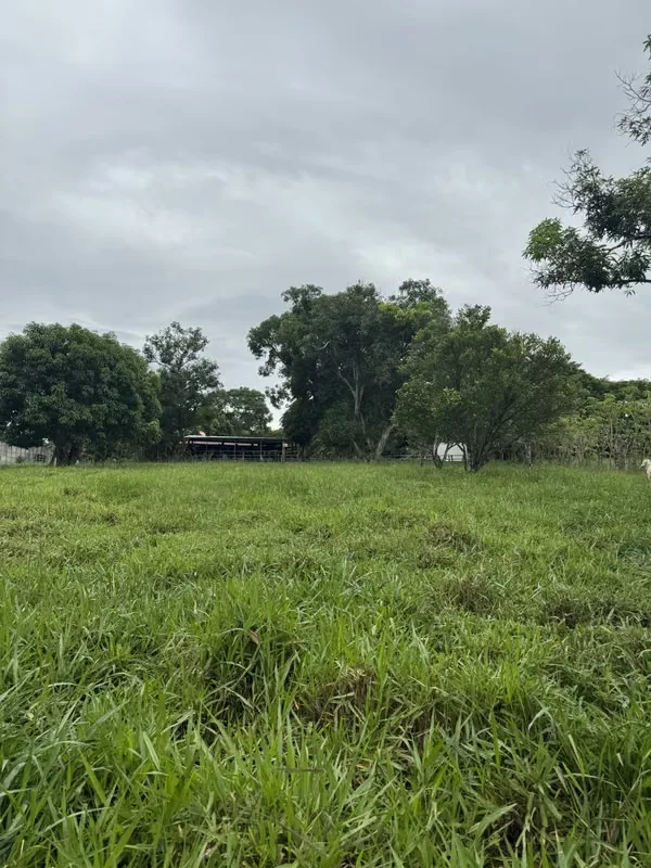 QUINTA CON CASA EN VENTA – TURRUBARES, photo 13