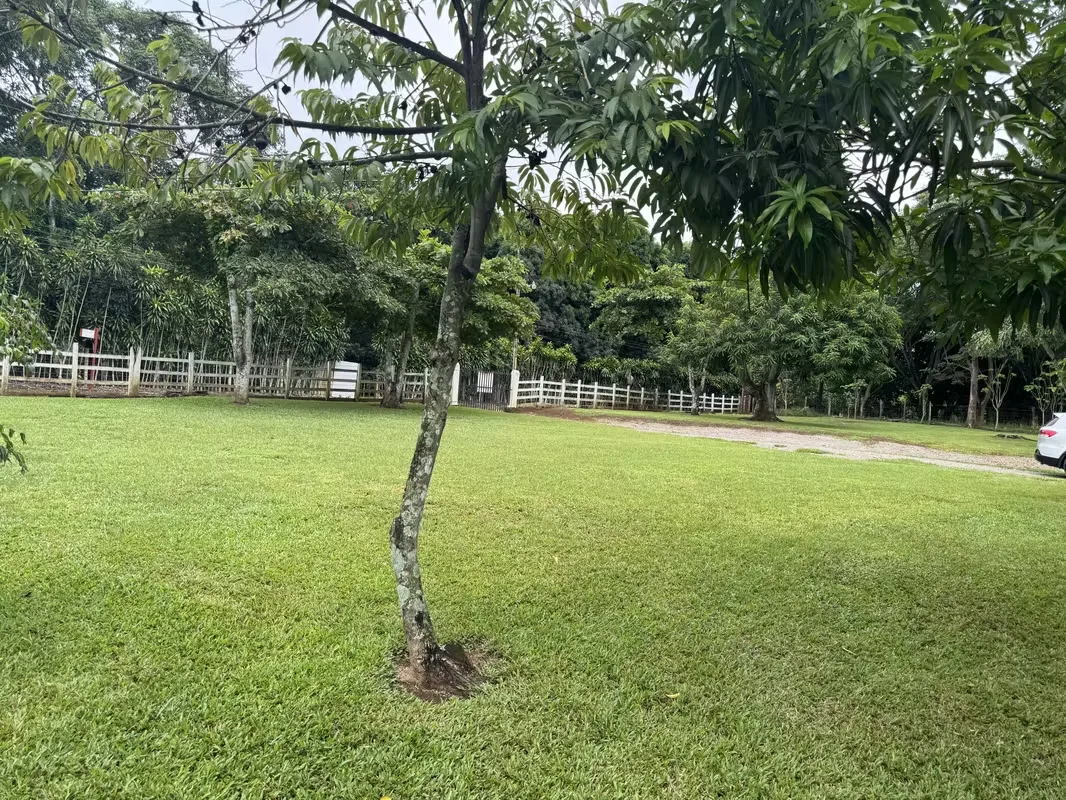 QUINTA CON CASA EN VENTA – TURRUBARES, photo 16