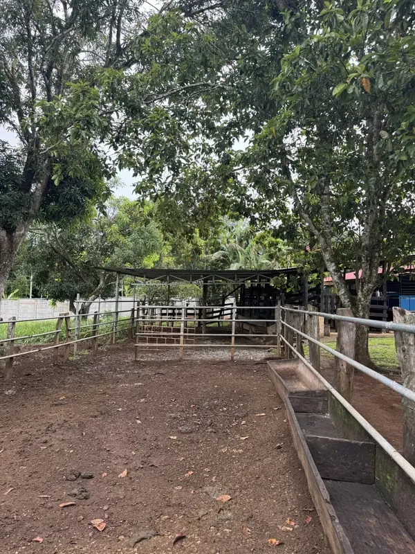 QUINTA CON CASA EN VENTA – TURRUBARES, photo 7