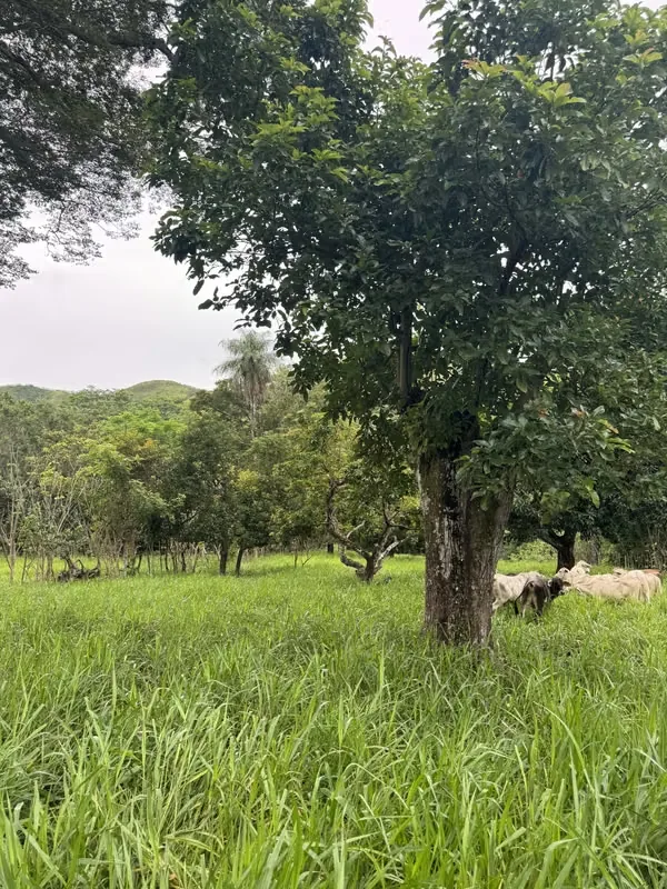 QUINTA CON CASA EN VENTA – TURRUBARES, photo 9