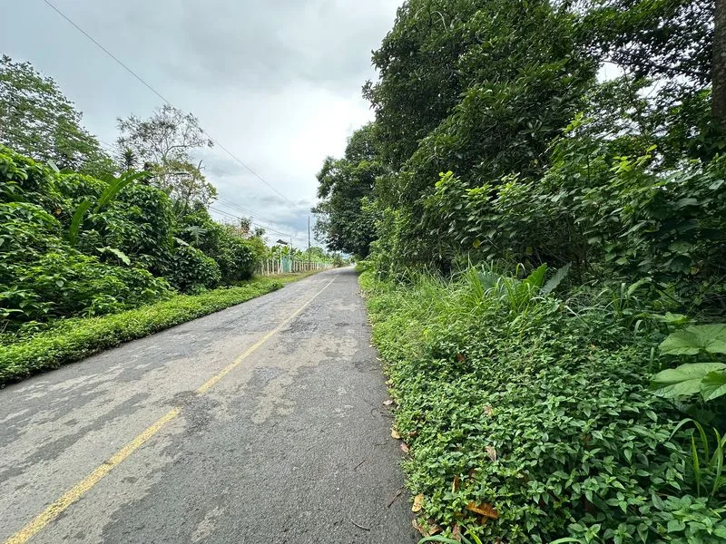 Land For Sale in Puerto Viejo