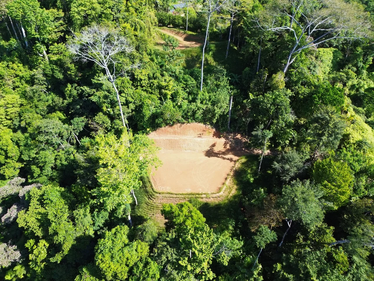 PRIVATE LOT WITH OCEAN AND TROPICAL RAINFOREST VIEWS, IN UVITA – 1.73 ACRES, photo 2