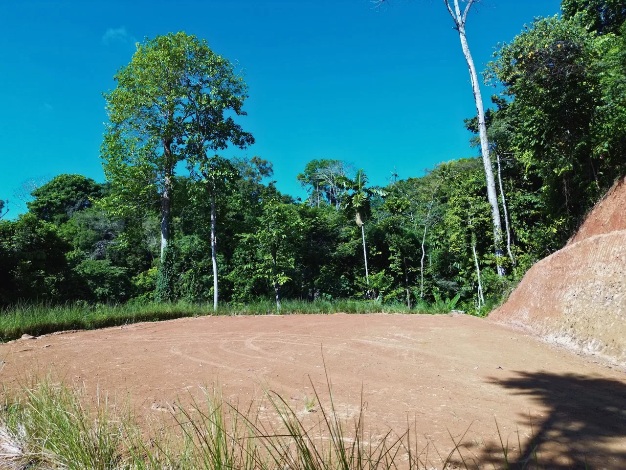 PRIVATE LOT WITH OCEAN AND TROPICAL RAINFOREST VIEWS, IN UVITA – 1.73 ACRES, photo 11