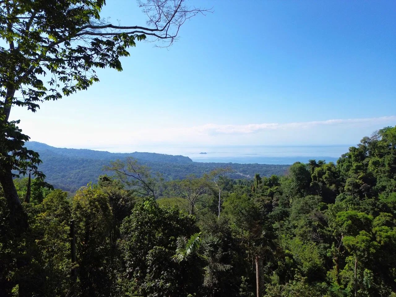 PRIVATE LOT WITH OCEAN AND TROPICAL RAINFOREST VIEWS, IN UVITA – 1.73 ACRES, photo 14