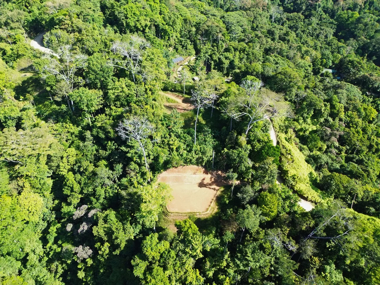 PRIVATE LOT WITH OCEAN AND TROPICAL RAINFOREST VIEWS, IN UVITA – 1.73 ACRES, photo 16