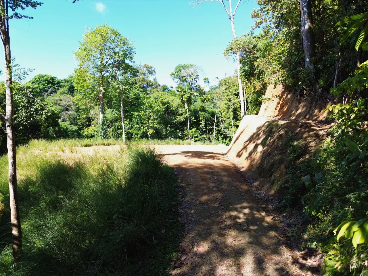 PRIVATE LOT WITH OCEAN AND TROPICAL RAINFOREST VIEWS, IN UVITA – 1.73 ACRES, photo 4
