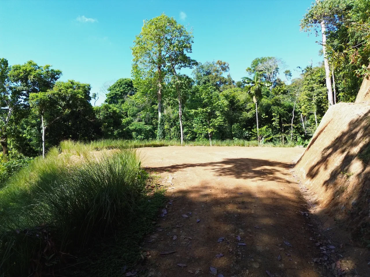 PRIVATE LOT WITH OCEAN AND TROPICAL RAINFOREST VIEWS, IN UVITA – 1.73 ACRES, photo 5
