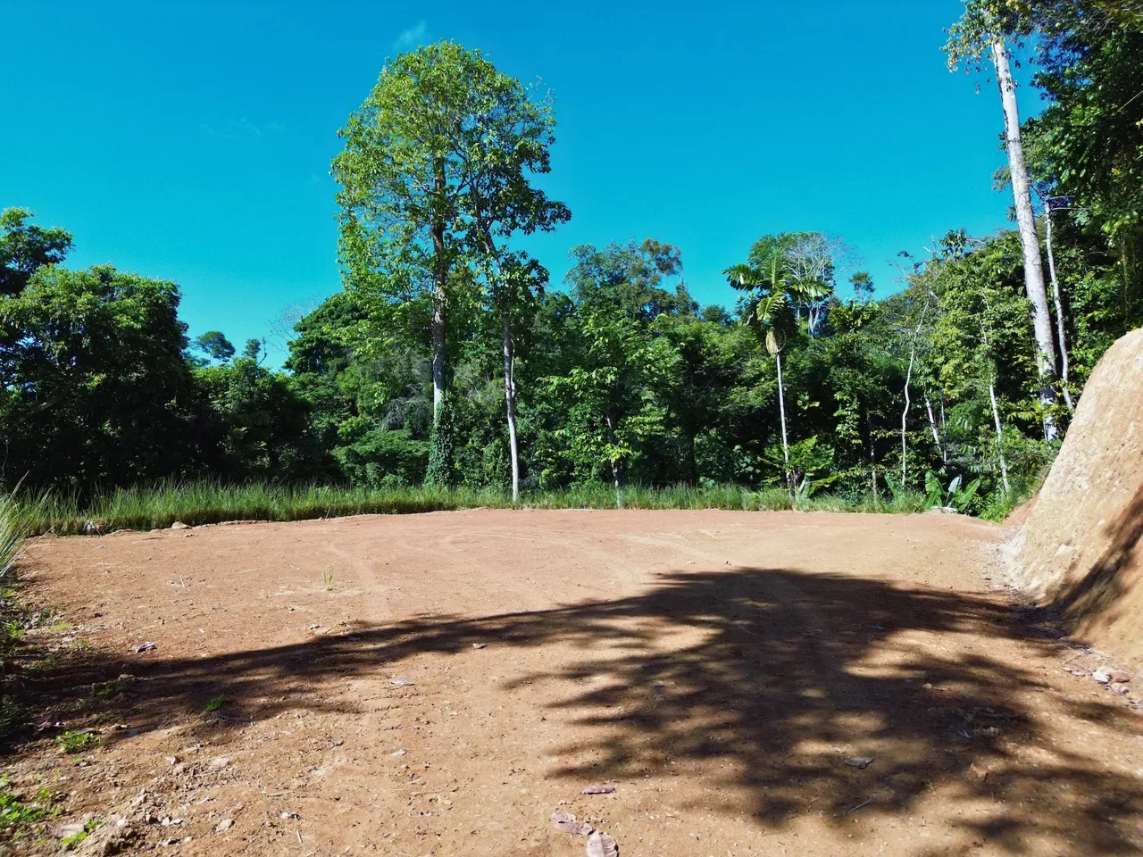 PRIVATE LOT WITH OCEAN AND TROPICAL RAINFOREST VIEWS, IN UVITA – 1.73 ACRES, photo 6